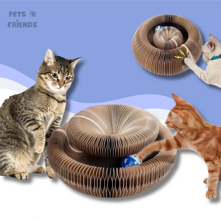 Scratch & Play™ - Het Speeltje dat Jouw Kat Uitdaagt en Je Meubels Redt!